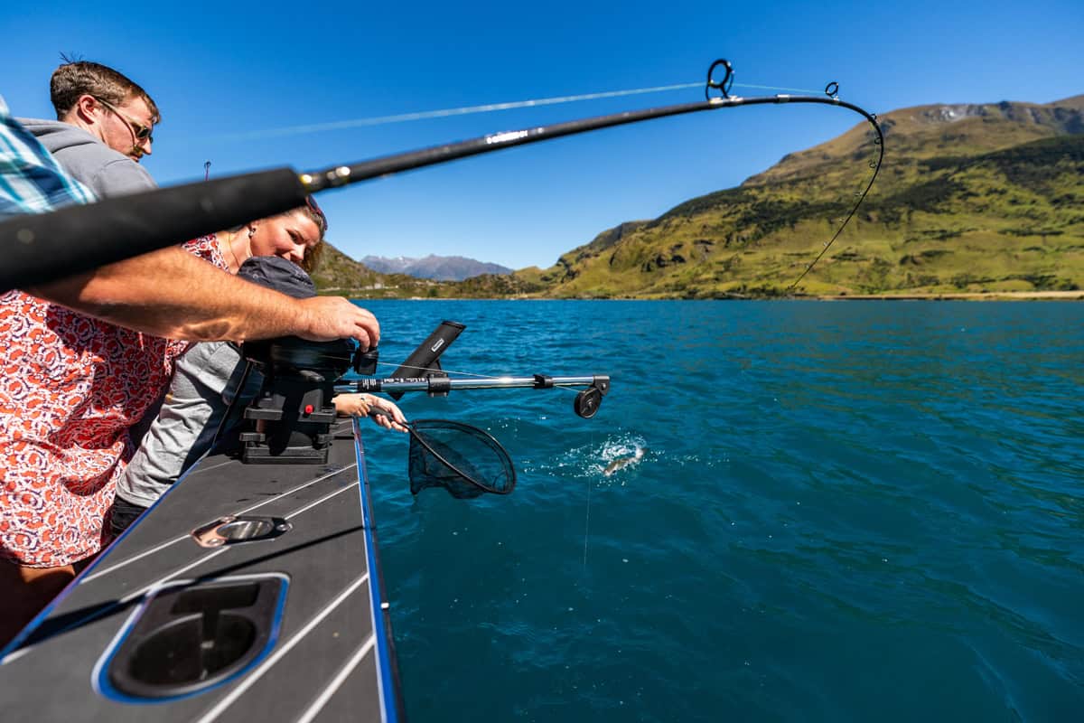 Fish being reeled in as another person holds a net ready during a fishing trip in New Zealand