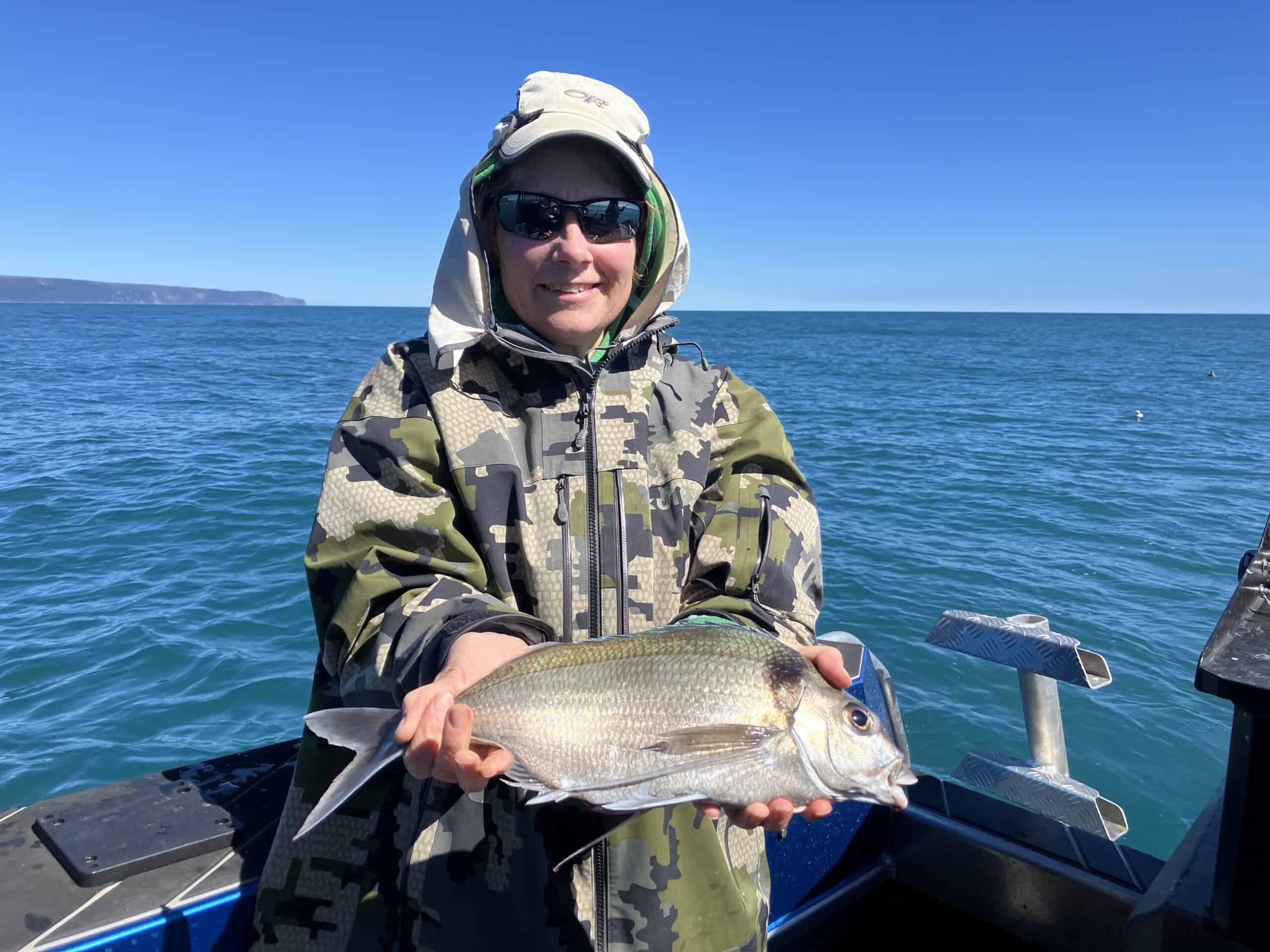 Close-up of woman reeling in a tarakihi during a private sea fishing charter in New Zealand