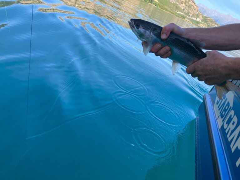 Angler holding a trout just above the water, preparing for release on a New Zealand lake
